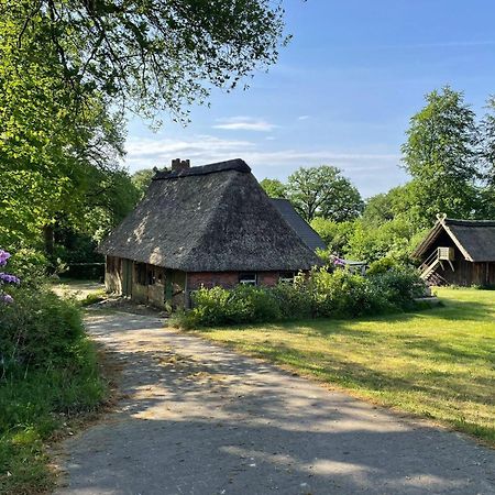 Heidehof Oberhaverbeck Villa Биспинген Екстериор снимка