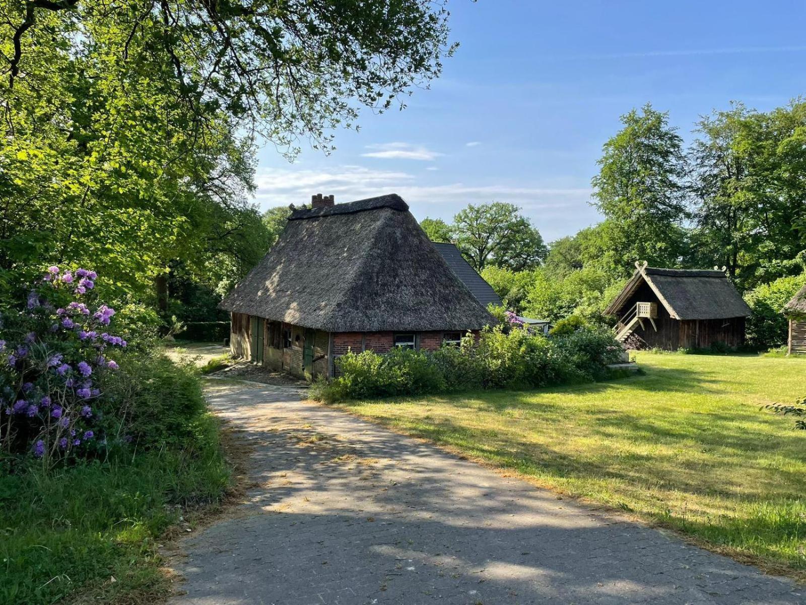 Heidehof Oberhaverbeck Villa Биспинген Екстериор снимка